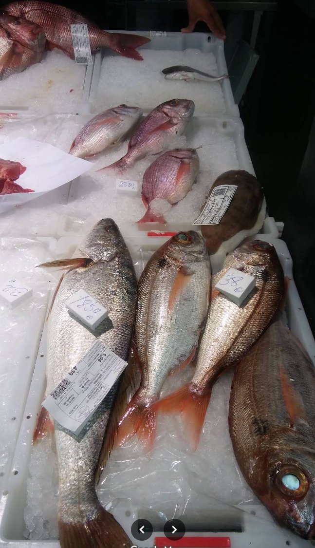 Pescados de temporada en hielo